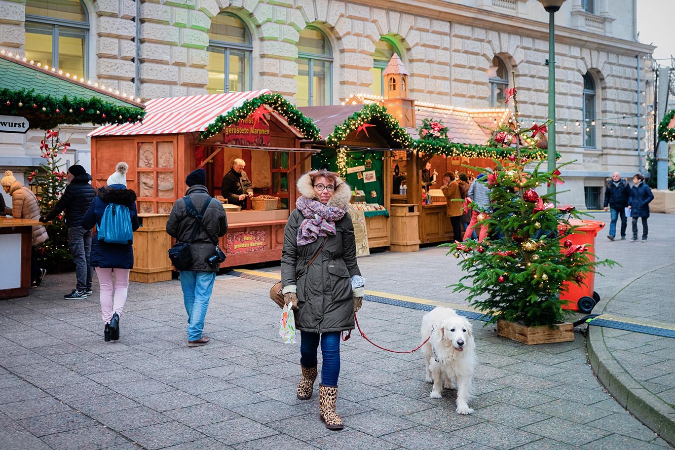 Pet relocation Berlin