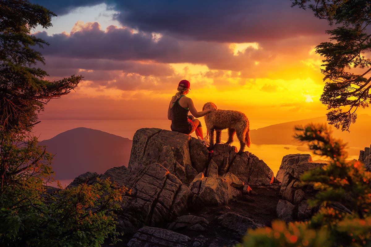 Pet relocation Vancouver
