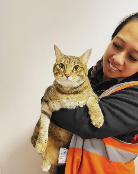 Image of a woman holding a cat