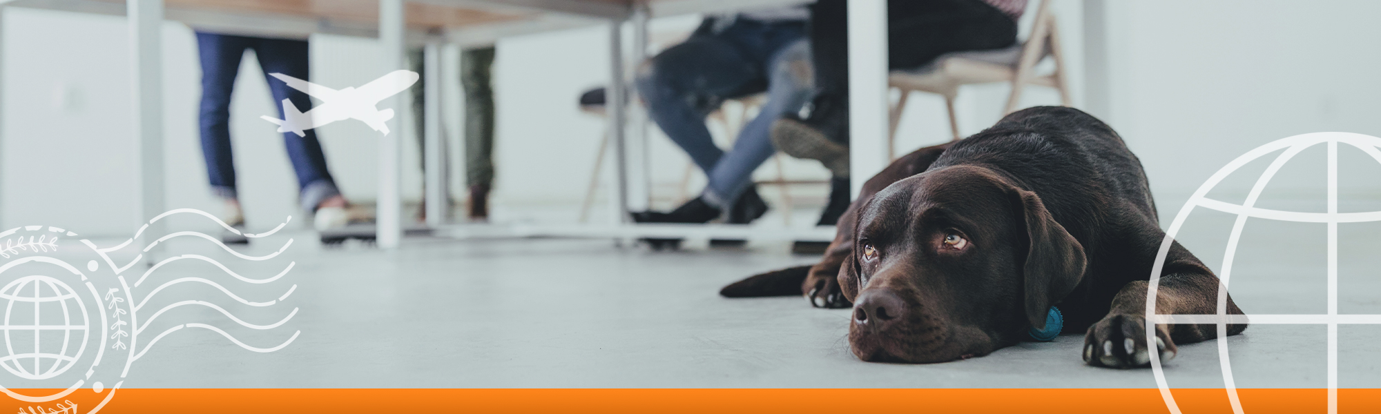Web banner of a Dog laying on a floor next a computer