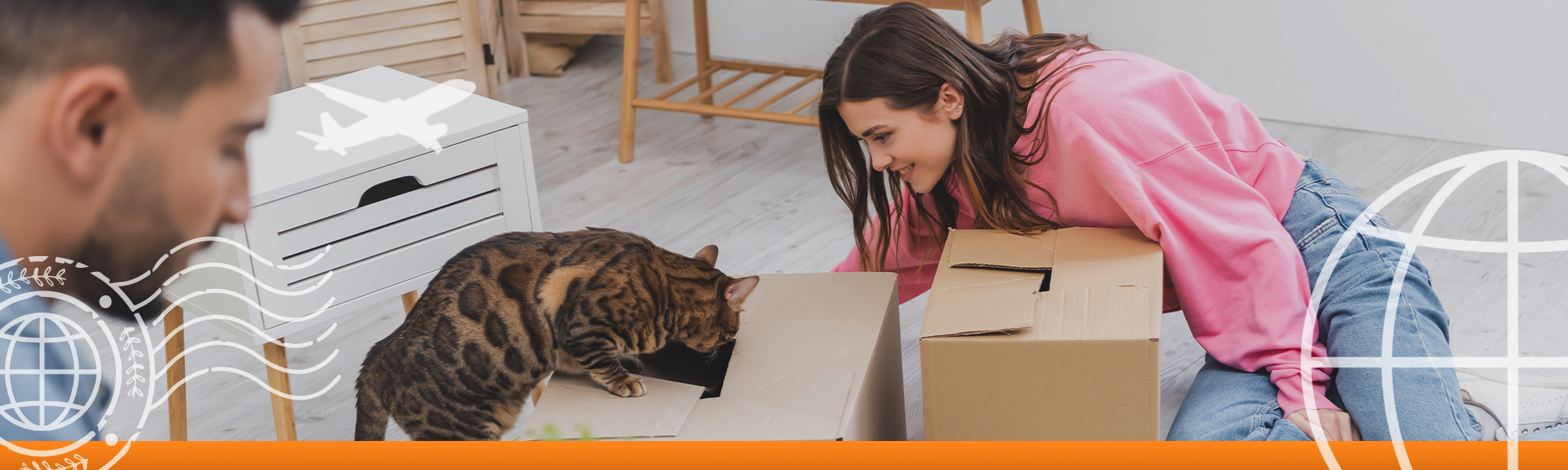 Top Tips and Techniques for a Calm and Comfortable Pet International Relocation