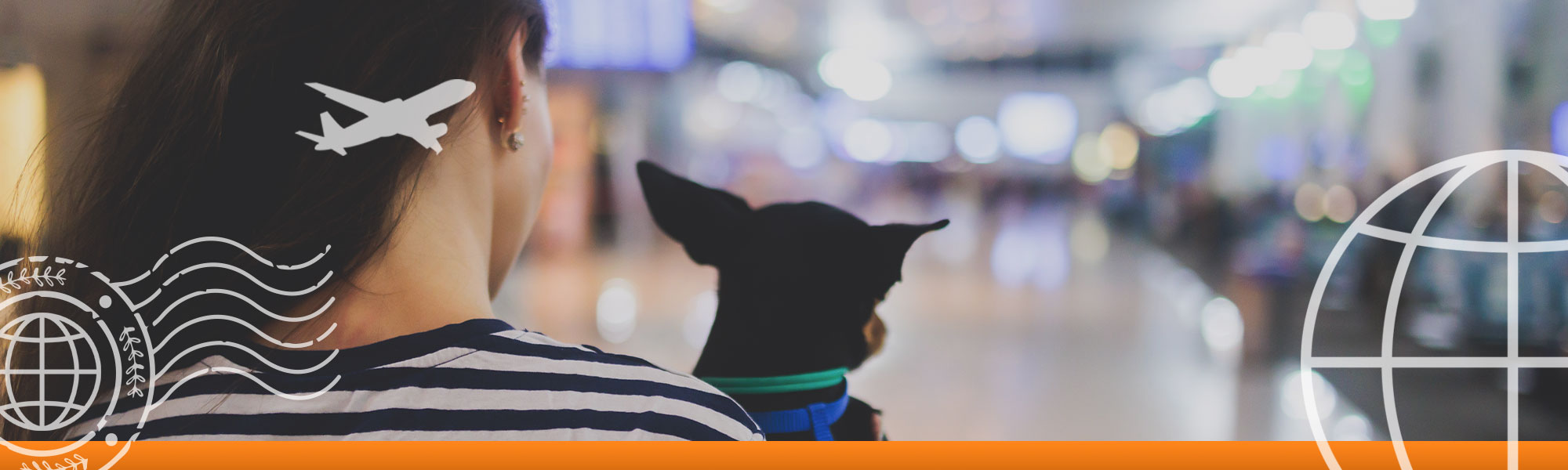 A Guide to Navigating and Complying with International Pet Relocation 