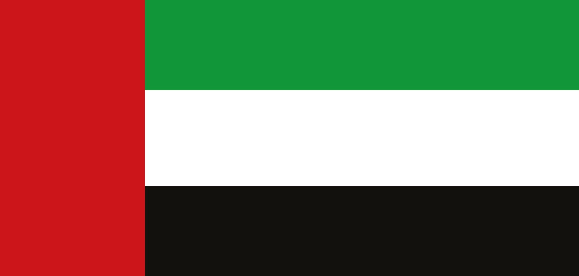 Dubai flag