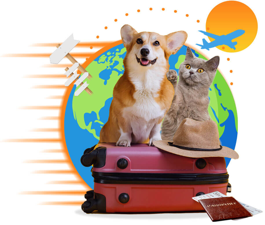 Dog store travel company