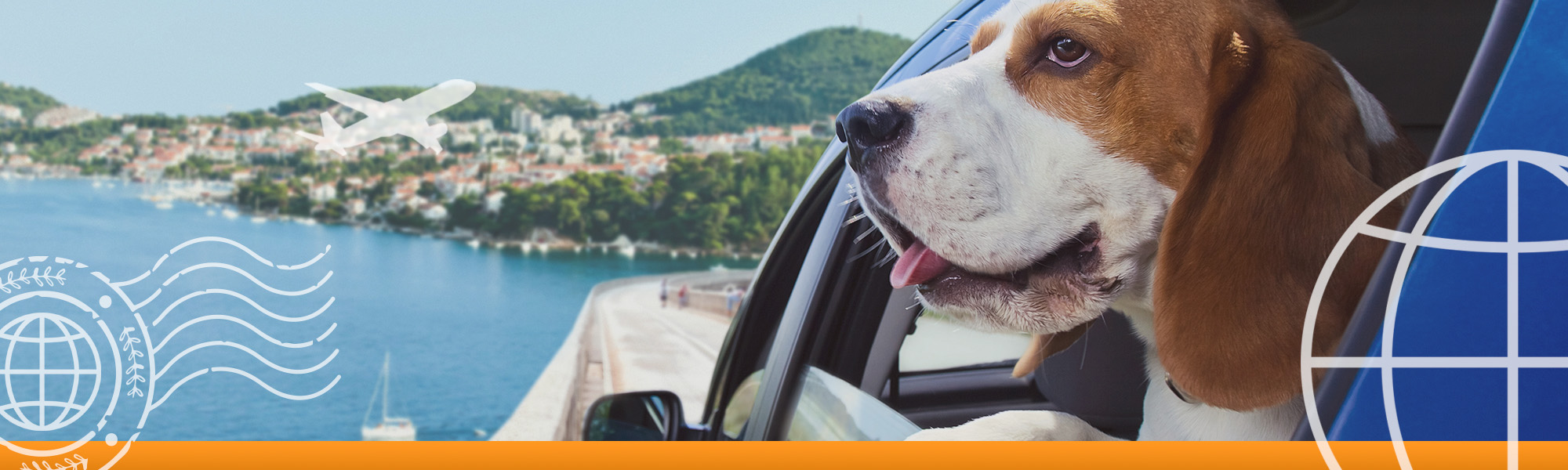 Banner image of a dog in a car