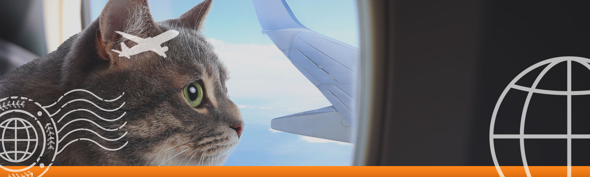 Handling Pet Travel Anxiety: Tips and Solutions for a Stress-Free Relocation Journey