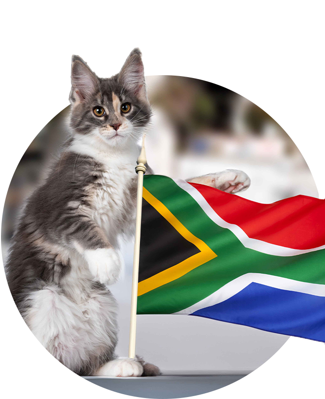 south africa image flag