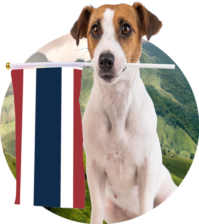 dog flag img